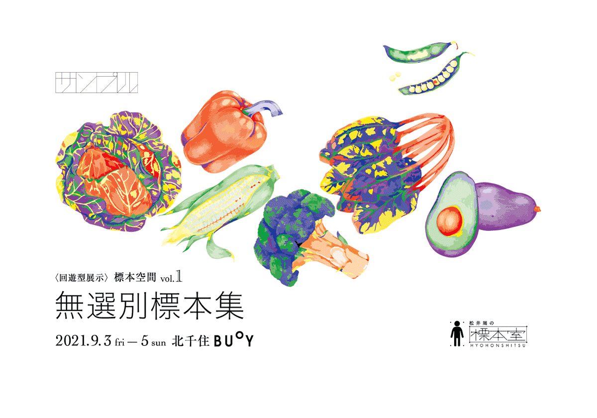 アーティスト「佐藤桃子」｜〈松井周の標本室〉回遊型展示 標本空間vol